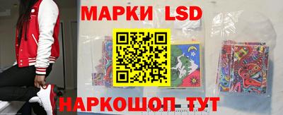 шишки Новокубанск