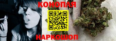 шишки Новокубанск