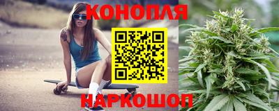 шишки Новокубанск