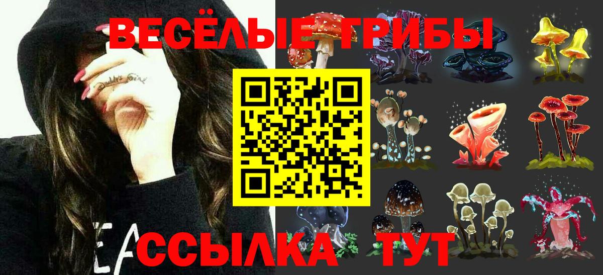 Псилоцибиновые грибы Magic Shrooms Ступино