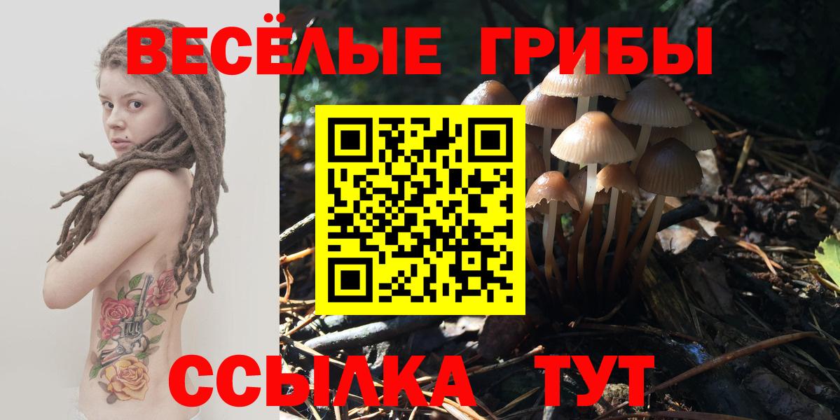 Галлюциногенные грибы прущие грибы  Вход с VPN  Ступино 